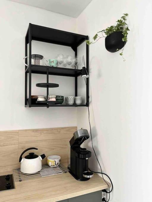Garsonka V Srdci Vysociny Apartment Žďár nad Sázavou Екстериор снимка