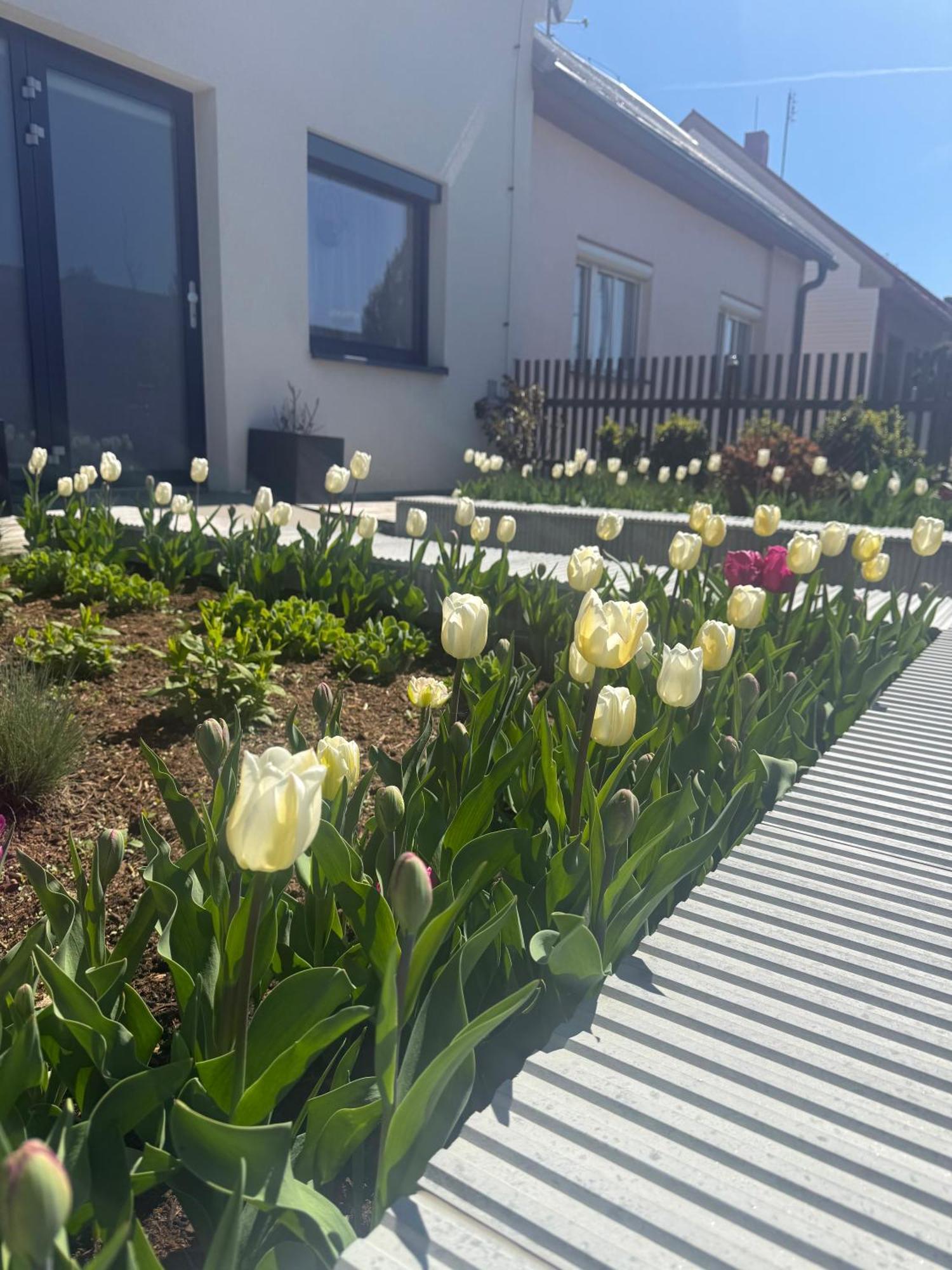 Garsonka V Srdci Vysociny Apartment Žďár nad Sázavou Екстериор снимка